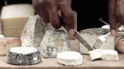 Restaurant Cellier Morel - Montpellier