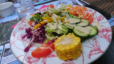 Restaurant Le Papillon - Albi