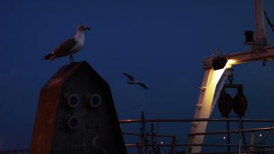 Restaurant Le Chatillon - Boulogne-sur-Mer
